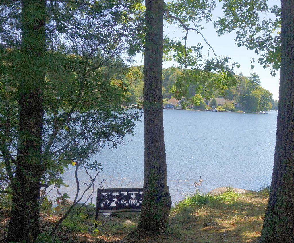 view of Cedar Meadow pond